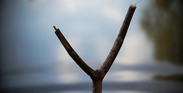 Morning On The Lake 2