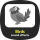 Birds Sounds