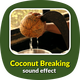 Coconut Breaking Sound