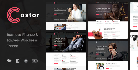 Castor - Business Consulting WordPress Theme