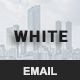 White - Responsive Email Newsletter - ThemeForest Item for Sale