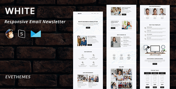 White - Responsive Email Newsletter