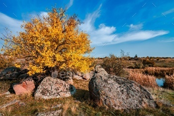 絵のように美しいウクライナの地衣類と苔の丘で覆われた美しい黄ばんだ植物と石 / Photodune, Misc