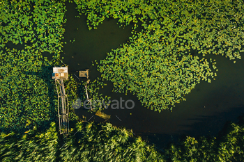 Top view of the Svisloch river in the city's Loshitsa Park with lilies at sunset.Beautiful / Photodune, Misc
