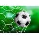 Realistic Soccer Football Ball in the Goal Net on - GraphicRiver Item for Sale