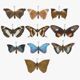 Butterfly Collection - 3DOcean Item for Sale