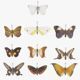 Butterfly Collection PBR Rigged Animated - 3DOcean Item for Sale