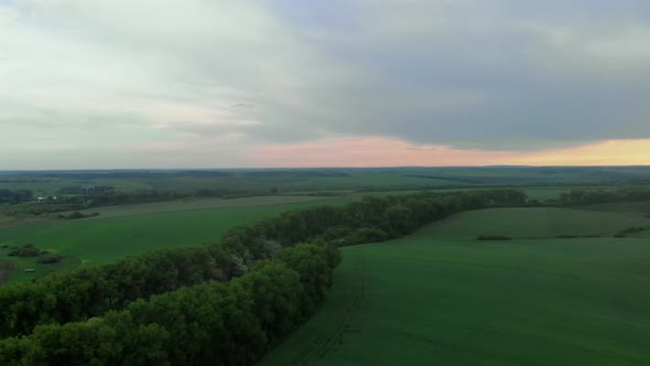 Sunset on Background of Road among Fields