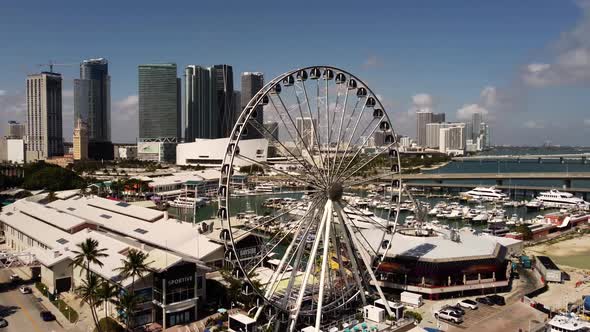 Skyview Ferris Wheel Downtown Miami Tourist Attraction