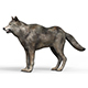 Low Poly Wolf With PBR Textures - 3DOcean Item for Sale