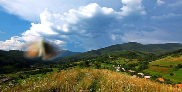 Flying Butterflies alt