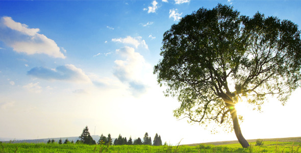 Summer Landscape alt