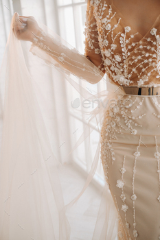 A luxurious bride in a wedding dress in the morning in her interior / Photodune, Misc