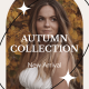Autumn Sale Instagram Stories - VideoHive Item for Sale