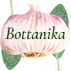 Bottanika - Organic Food Store - ThemeForest Item for Sale