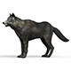 Black Wolf With PBR Textures - 3DOcean Item for Sale