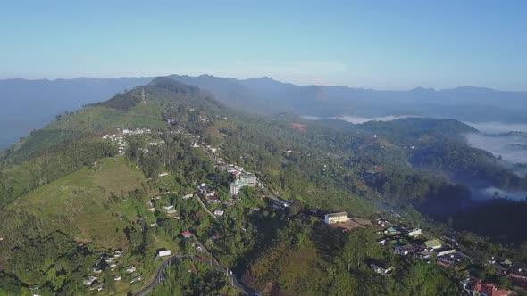 Green Tree Plantations and Long Asphalt Mountain Serpentine