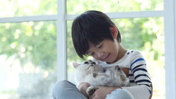 Cute Asian Child Hugging And Holding Kitten