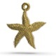Starfish superb - 3DOcean Item for Sale