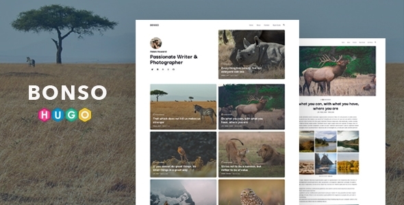 Bonso – Personal Theme for HUGO Static Site Generator / Themeforest, Static site generators