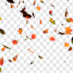 Autumn leaves - 2 sequences - VideoHive Item for Sale