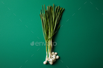top view of bunch of garlic stems on green surface / Photodune, Misc