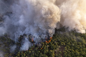 Forest Fires, Natural Disaster / Photodune, Misc