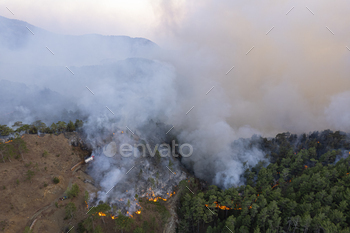 Extinguishing Forest Fire / Photodune, Misc
