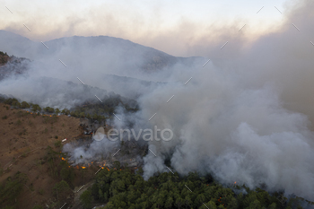 Truck Extinguishing Fire in Forest / Photodune, Misc