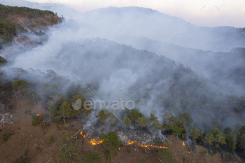 Extinguishing Jungle Fire / Photodune, Misc
