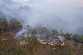 Firemans, Forest Fire / Photodune, Misc