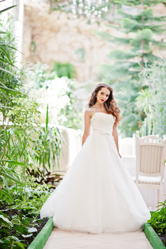 Portrait of beautiful sensual young bride / Photodune, Misc