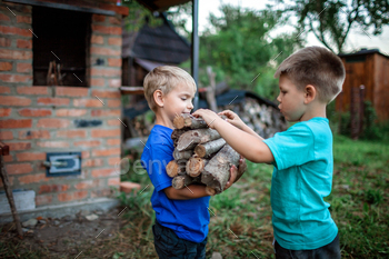 Alternative fuel for heating and fireplace. Two boys holding wooden log and talking / Photodune, Misc
