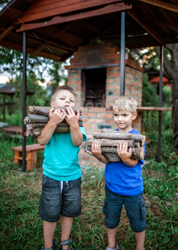 Alternative fuel for heating and fireplace. Two boys holding wooden log and talking / Photodune, Misc