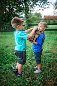 Alternative fuel for heating and fireplace. Two boys holding wooden log and talking / Photodune, Misc