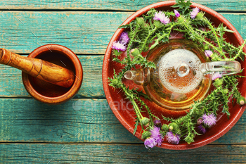 Thistle in herbal medicine / Photodune, Misc