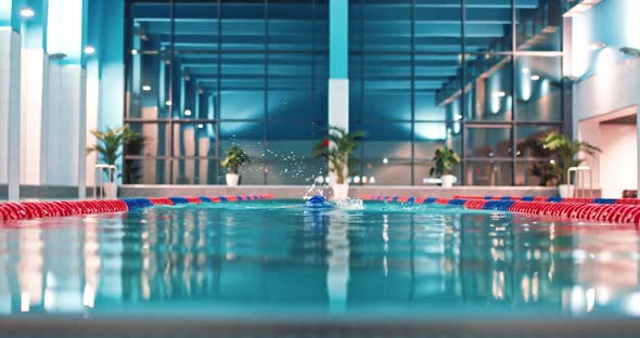 Professional Female Swimmer Swims in the Pool Young Woman Swimming and Training in the Water