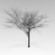 Blender low polly tree  - 3DOcean Item for Sale
