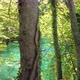 Milino Jezero and Plitvice Lakes National Park - VideoHive Item for Sale