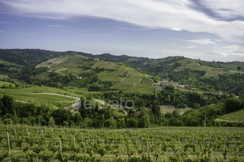 Landscape of Langhe, Piedmont, Italy near Diano at May / Photodune, Misc
