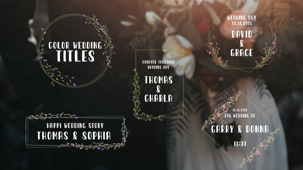 Color Wedding Titles