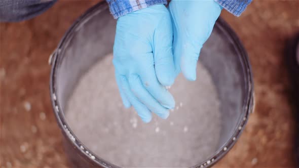 Farmer Examining Herbicides Fertilizer in Hands Before Fertilizing Agriculture Field