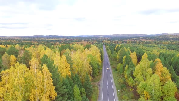 Aerial View of a Highway in an Autumnal Forest From a Drone