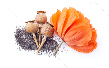 Poppyhead with seeds and flower / Photodune, Misc