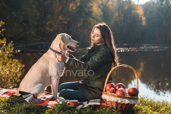 young woman sitting on blanket and adjusting dog collar on golden retriever in park / Photodune, Misc
