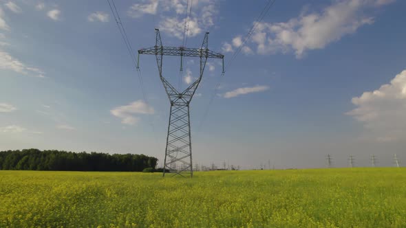 Pillars of power lines in a beautiful flowering field on a sunny summer day.