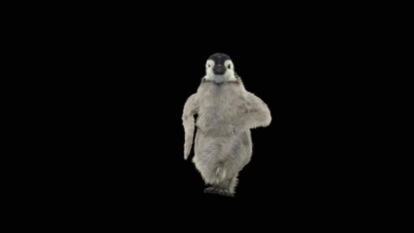 66 Penguin Dancing HD