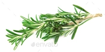 Rosemary herbal / Photodune, Misc