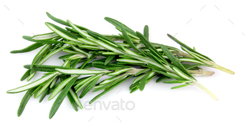 Rosemary herbal / Photodune, Misc