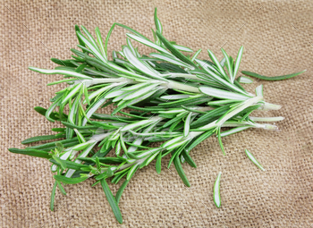 Rosemary herbal / Photodune, Misc